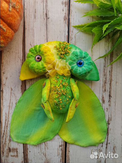 Чердачная лимонная моль