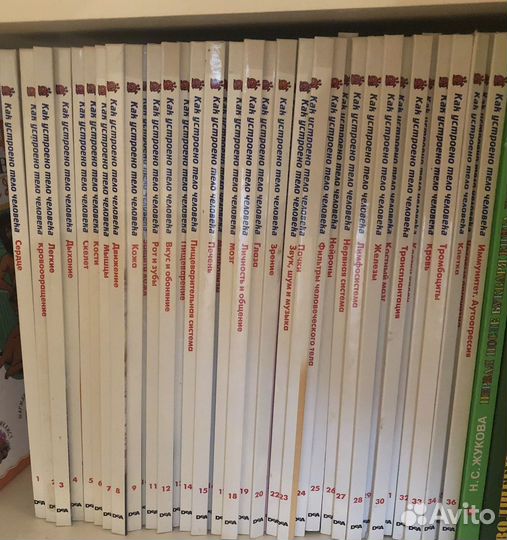 Книги тело человека