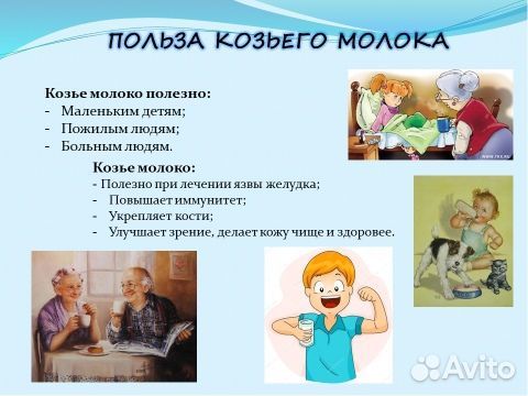 Продам козье молоко