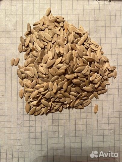 Семена огурцов