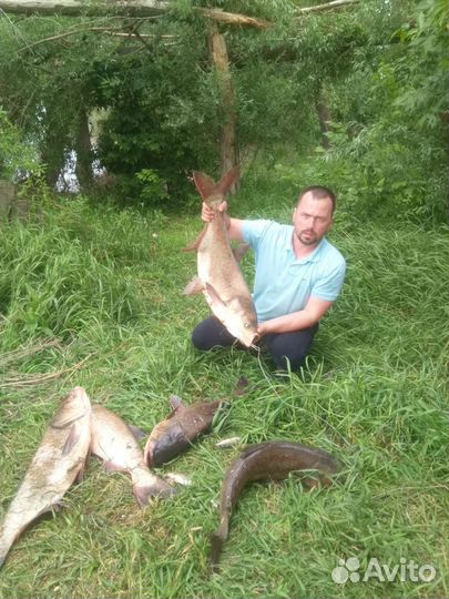 Технопланктон(Natural) от производителя