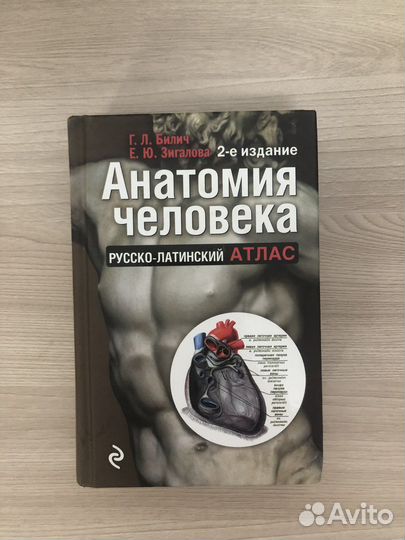 Анатомия человека. Русско-латинский атлас
