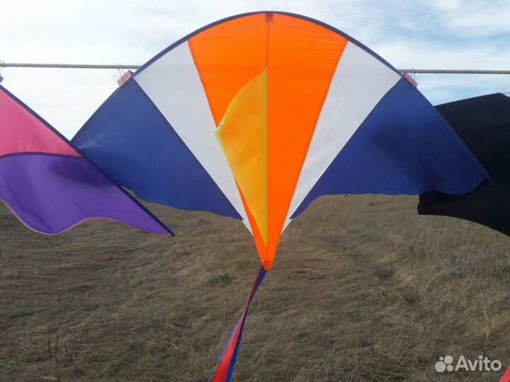 Воздушный змей Скат