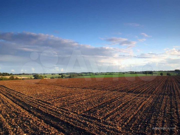 Участок 340 га (СНТ, ДНП)