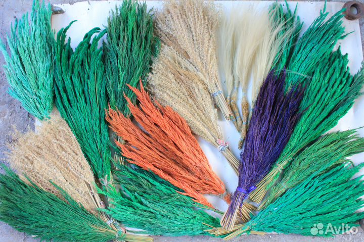 Флористика