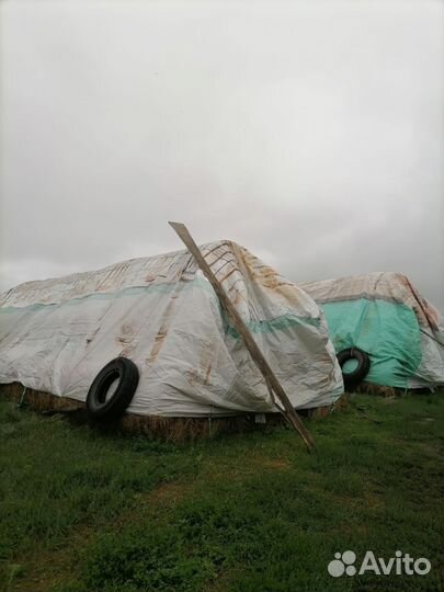 Продам сено в тюках
