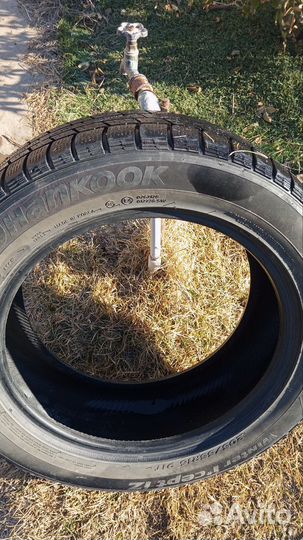 Hankook Winter I'Cept Evo 205/55 R16 91T