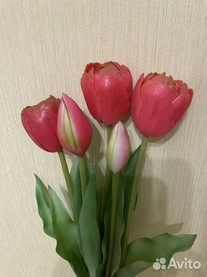 Тюльпаны интерьерные (букет 5 шт.)