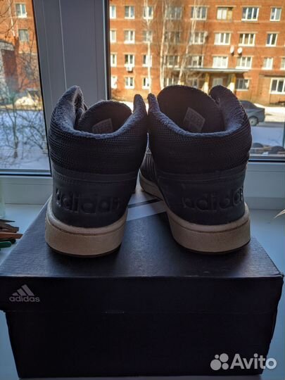 Кроссовки Adidas Hoops 2.0