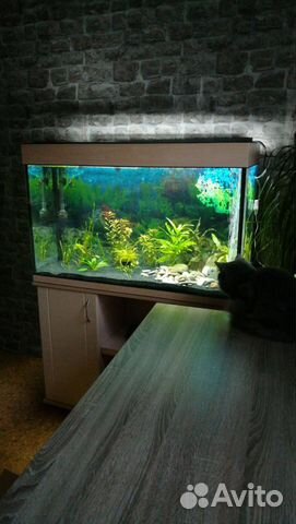 Аквариум 160л новый + Led свет. Гарантия 5 лет