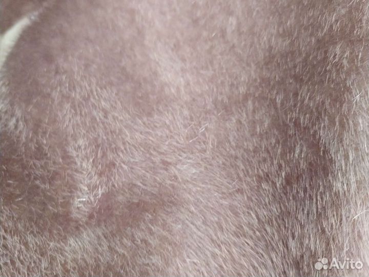 Мех искусственный под нерпу