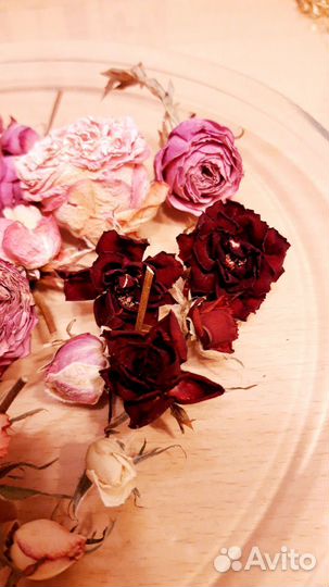 Сухие цветы для творчества и дизайна