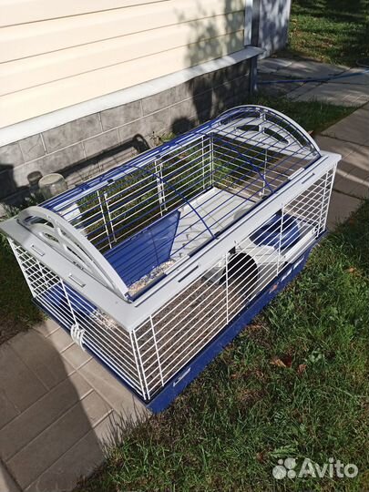 Клетка для морской свинки