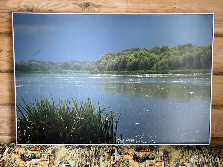 Фотокартина в металлической рамке