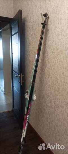 Беговые лыжи