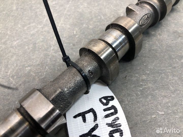 Распредвал впускной Ford Focus DNW fydd 2001