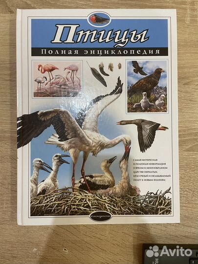Энциклопедия про птиц