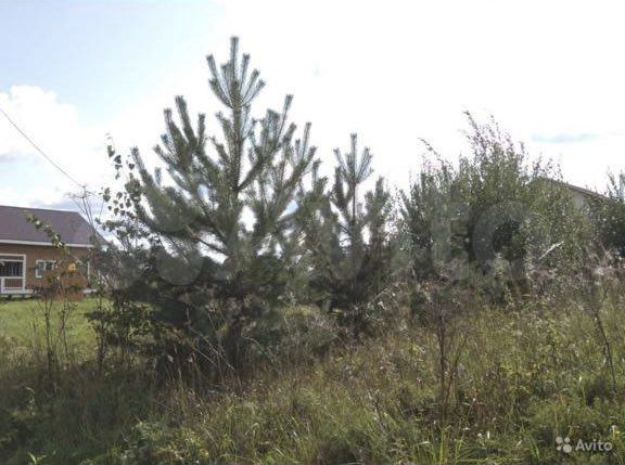 Участок 12,5 сот. (СНТ, ДНП)