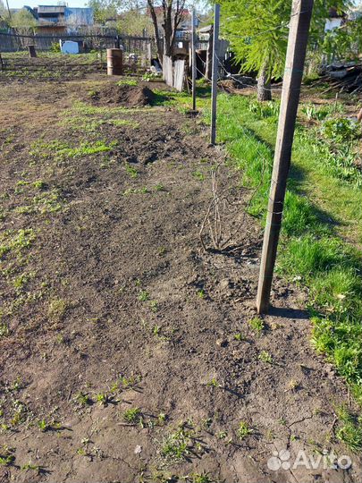 Продам дачный участок