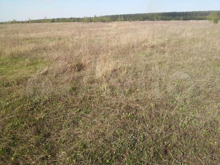 Участок 4,5 га (СНТ, ДНП)