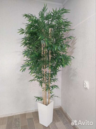 Искусственный бамбук тропический