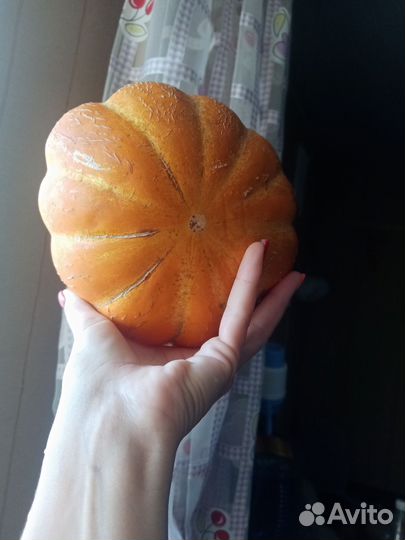 Семена дыни и арбуза