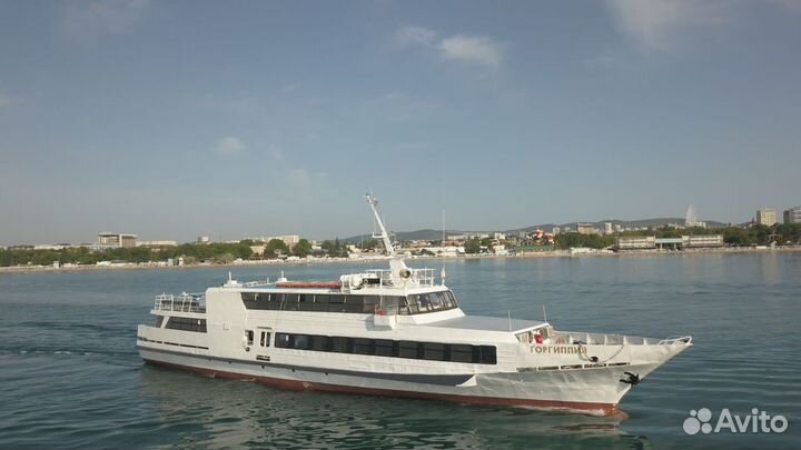 Морские прогулки