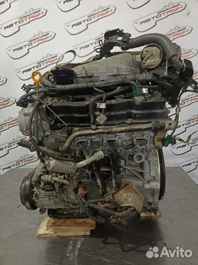 Двигатель nissan VQ25-DD cedric gloria MY34 заслон