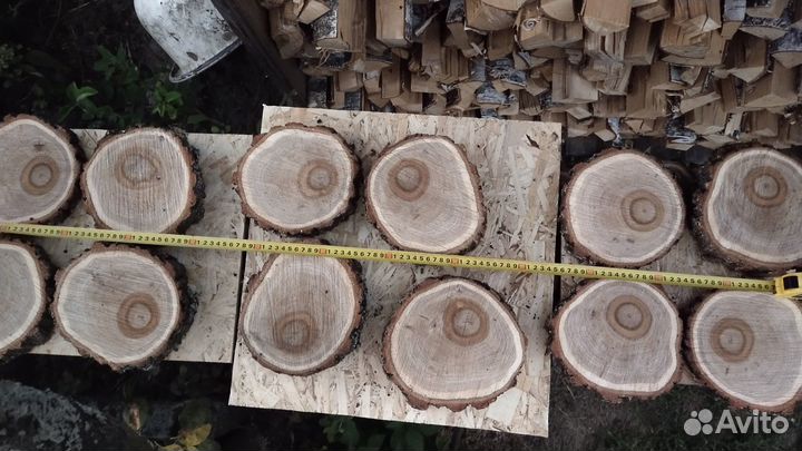 Спил дуба и берёзы