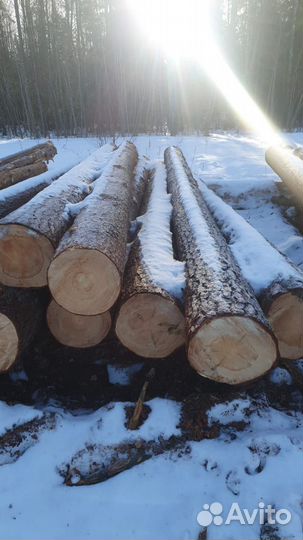 Круглый лес