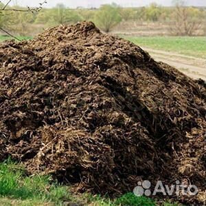 Навоз коровий