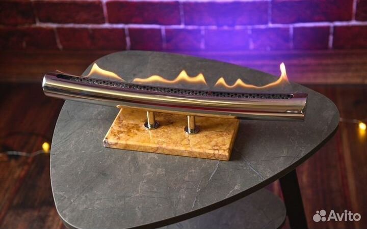 Экокамин, Биокамин