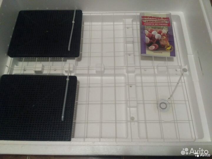 Инкубатор несушка в ассортименте