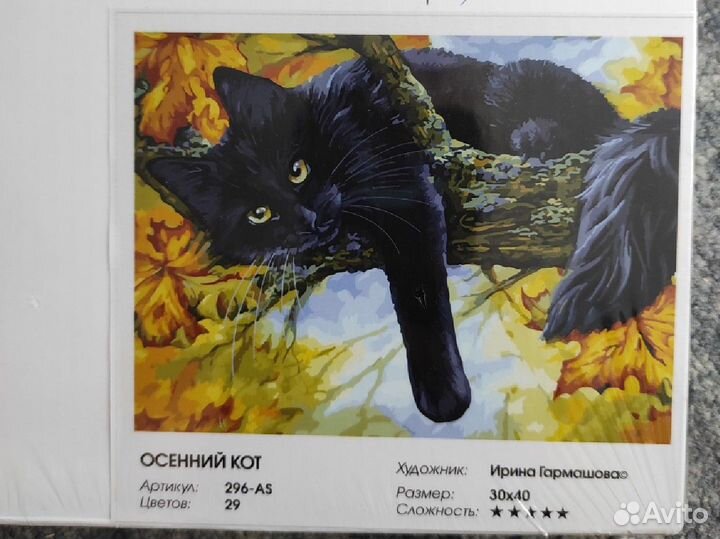 Картина по номерам «Осенний кот» новая