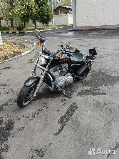 Harley davidson sportster 883