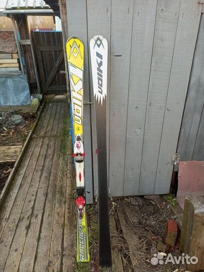 Горные лыжи