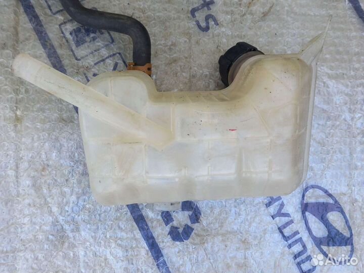 Рено сценик 2- расширительный ба