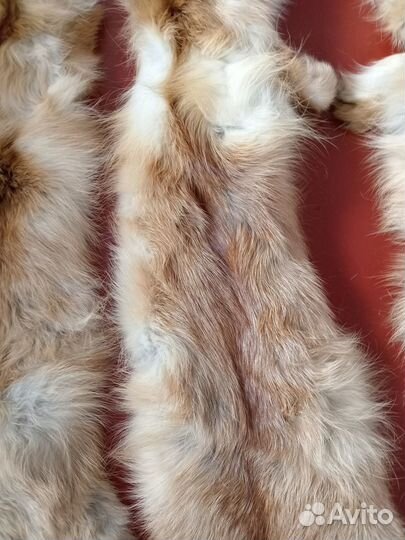 Шкурки лисы