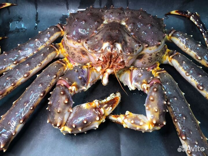 Краб камчатский целый