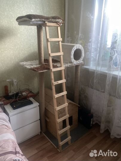 Большой кошачий домик