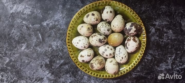 Продаются домашние перепелиные яйца