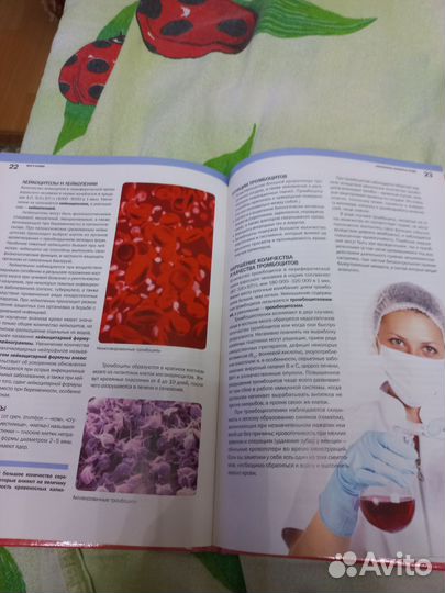 Семейная энциклопедия здоровья. Все о крови