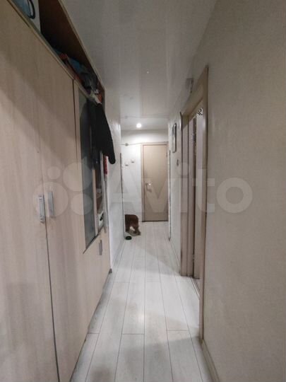 3-к. квартира, 78,7 м², 1/2 эт.