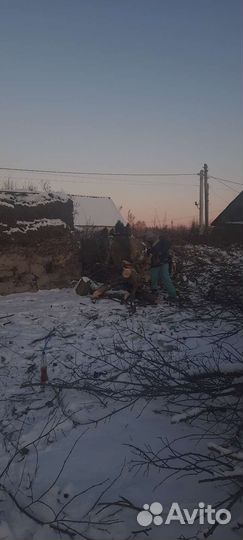 Сад и благоустройство