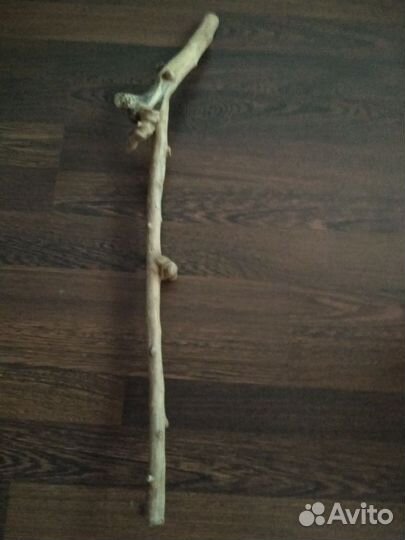 Коряги дрифтвуд