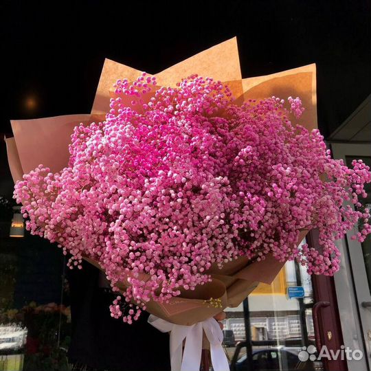 Гипсофила розовая 9 шт