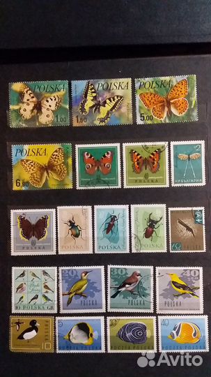 Почтовые марки Польши 