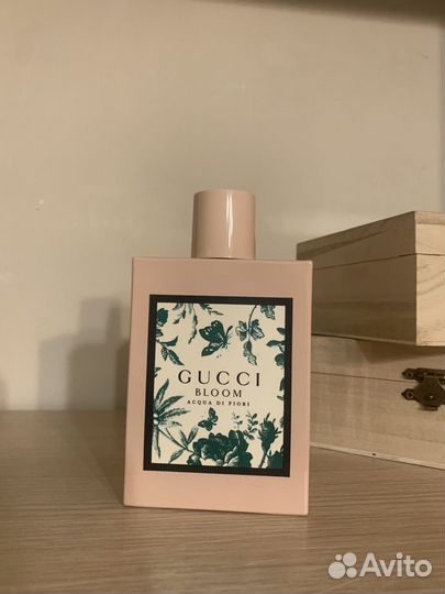 Gucci Zielinski