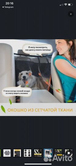 Автогамак для перевозки собак