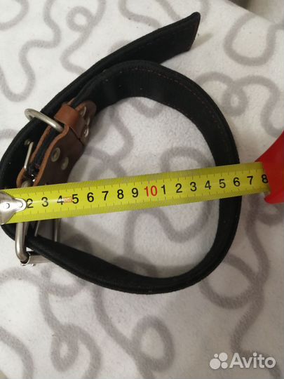 Ошейник для собак